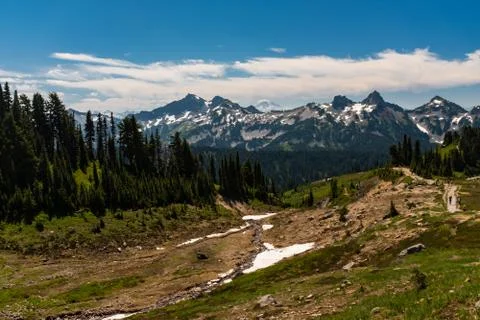 A snow capped mountain range at spring time with a forest of lush green pine  Stock Photos
