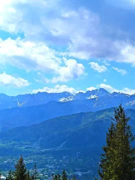 Snow-capped mountain valley with pine foreground Stock Photos