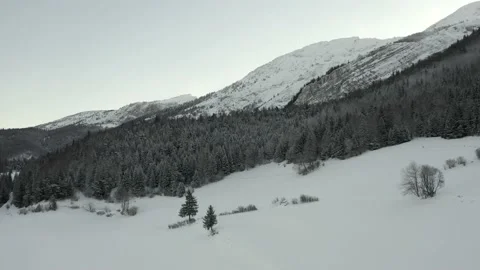 Snow-capped mountain with vegetation Stock Footage 158925836