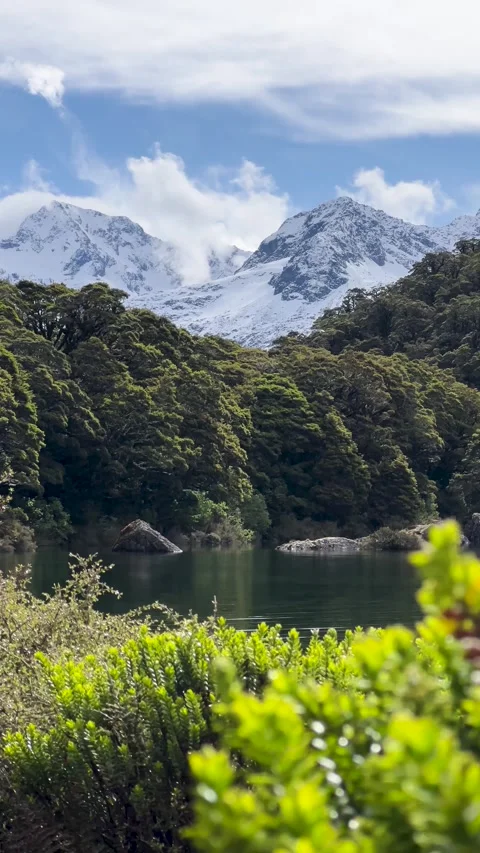 Snow-capped mountains above alpine lake, Routeburn track, New Zealand - vertical Stock Footage 342236749