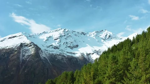 Snow Capped Mountains and Pine Forest in North Caucasus, Russia Stock Footage 320856884