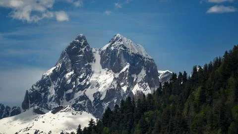 Snow-capped mountains in the foreground forest Stock Illustration
