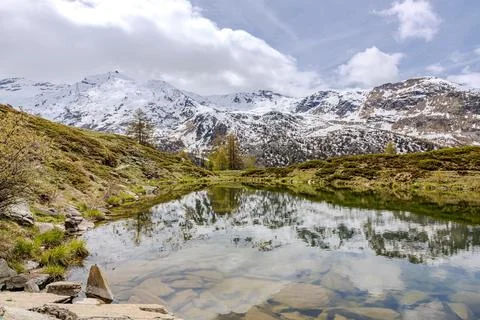 Snow-capped mountains mirror in tranquil lake in spring Stock Photos