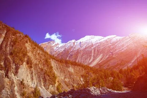 Snow capped mountains. Stock Photos