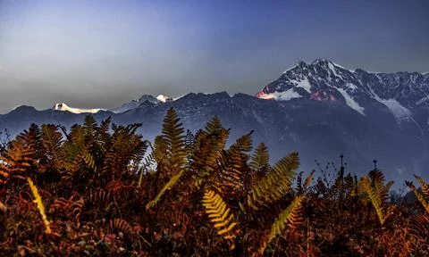 Snow capped mountains Photos