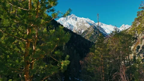 Snow capped mountains through green forest, blue sky, Caucasus mountains Stock Footage 137590465