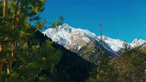 Snow capped mountains through green forest, blue sky Stock Footage 137592932