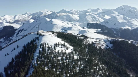 Snow-capped mountains under clear blue skies, with pine trees dotting the Video stock 270154228