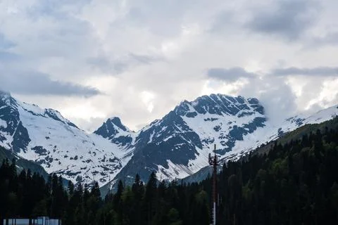 Snow-capped mountains under cloudy sky with lush green forest in the foreground Stock Photos