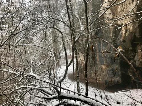 A snow capped path in the forest Stock Photos