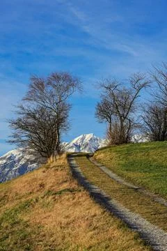 Snow-capped peak trail with trees  Tirol, Austria  December 3, 2009 Stock Photos