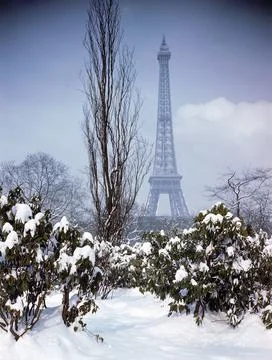 Snow-capped plants in front of Eiffel Tower., Paris, France Foto stock
