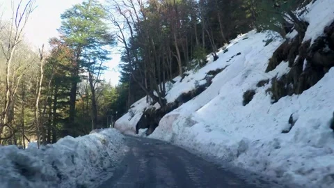Snow-capped road at ice mountain route and pine tree forest india Stock Footage 220698300