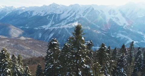 Snow-capped trees and mountains in background. Sochi, Krasnaya Polyana Vidéo 100221038