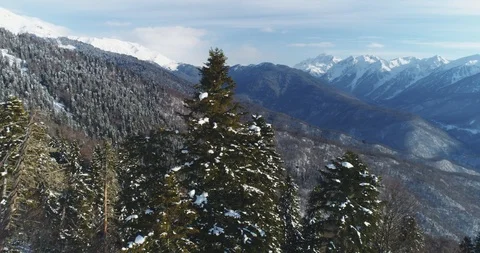 Snow-capped trees and mountains in background. Sochi, Krasnaya Polyana Vidéo 100221139
