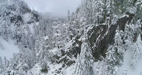 Snow-Capped Trees on Rock Wall, Orbiting Drone Shot Stock Footage 122944105