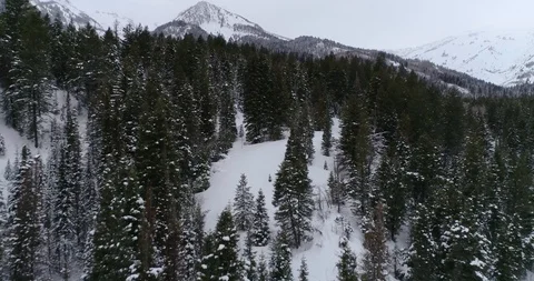 Snow-capped Trees at Scenic Tibble Fork Reservoir in the Rocky Mountains of Utah 스톡 동영상 102823665