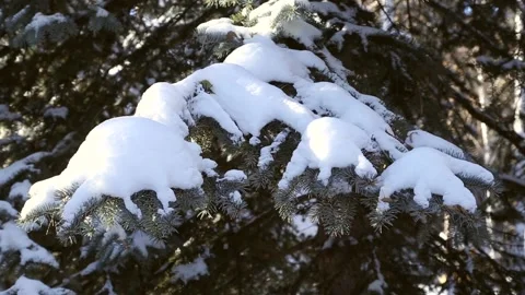 Snow Caps Stock Footage 221501148