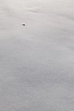 Snow carpet Stock Photos