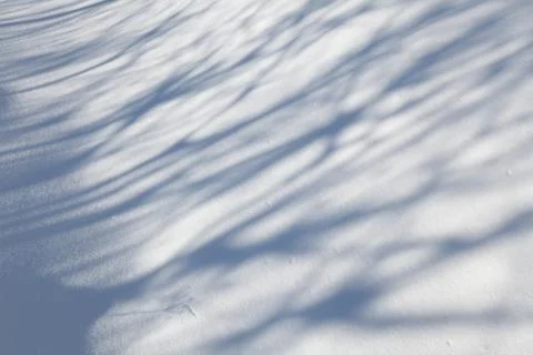 Snow carpet Stock Photos