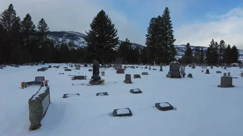 Snow in the cemetery Stock Footage 167867728