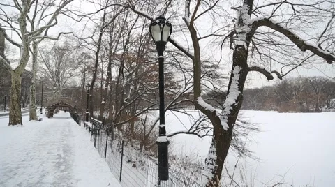 Snow in Central Park Video stock 45806061