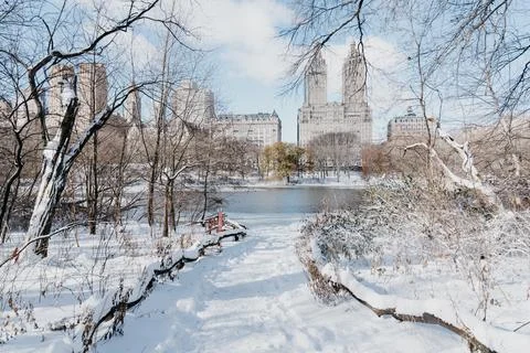 Snow in Central Park Stock Photos