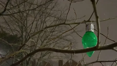 Snow on a Christmas Light Stock Footage 148127361