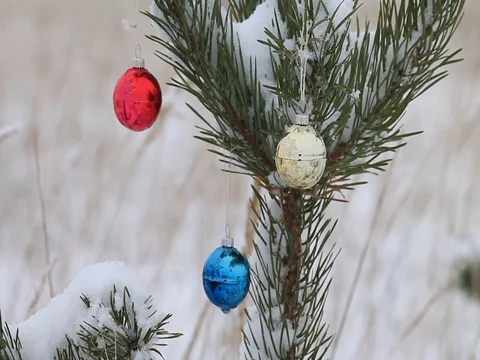 Snow on Christmas tree Stock Footage 70239932