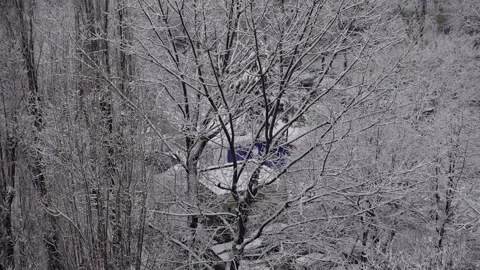 Snow in City Stock Footage 147354914