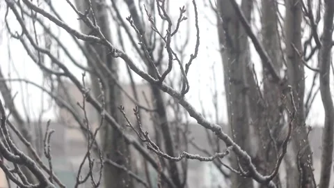 Snow in the city Stock Footage 154208719