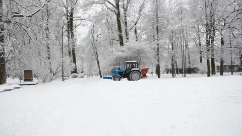 Snow cleaning in a winter park. Video stock 87502643