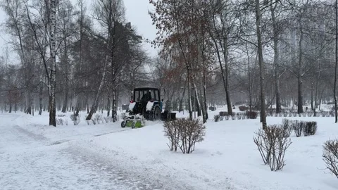 Snow clearing. Tractor clears the way after heavy snowfall in pine forest park. Stock Footage 263072993