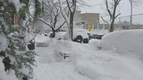 Snow Clinging to Bare Tree Branches, Brooklyn Residential, Close-Up Stock Footage 329888728