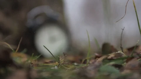 Snow Clock - scene 2-3 focus movement Stock-Footage 123403675