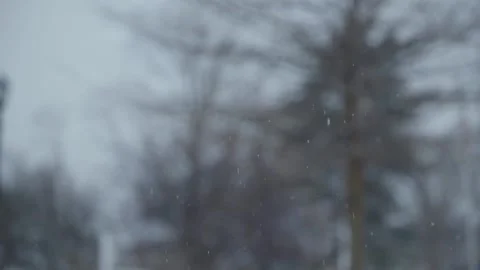 Snow close up blurry background winter trees 스톡 동영상 148999921