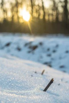 Snow close up Stock Photos