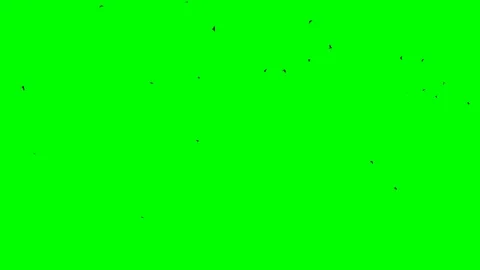 Snow as close as possible Stock Footage 107671514