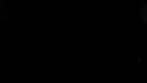 Snow Close-up Slow Flying Stock Footage 87079467