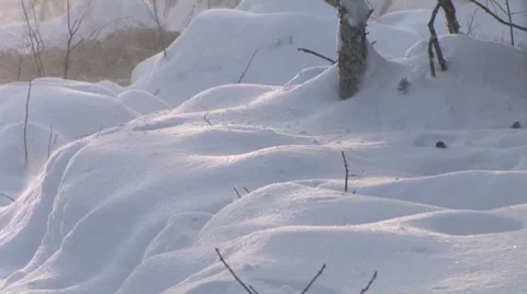 Snow Closeup Blizzard Stock Footage 7901479