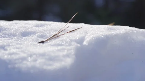 Snow closeup panning Stock Footage 102225423