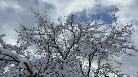 Snow, clouds, sun, 0805 Video stock 311783066