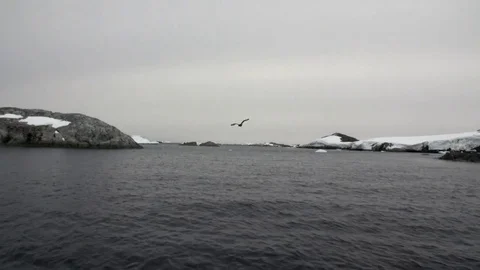 Snow coastline in ocean of Antarctica. Stock Footage