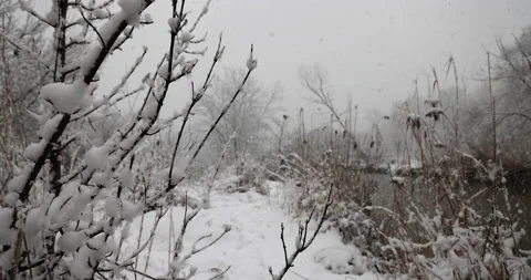 A snow comforter covers the world, 4K slomo Stock Footage 168906890