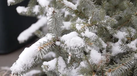 Snow cover 2 Stock-Footage 1101414