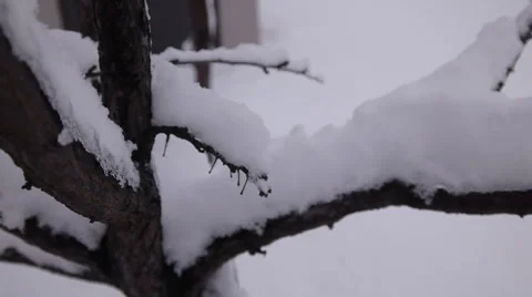 Snow cover  3 Stock-Footage 1101380
