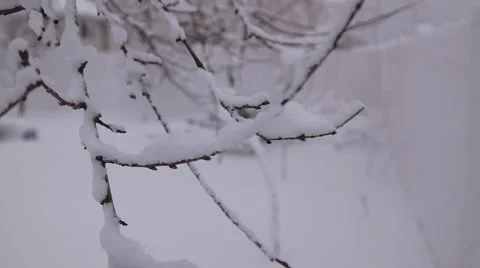 Snow cover 스톡 동영상 1101362