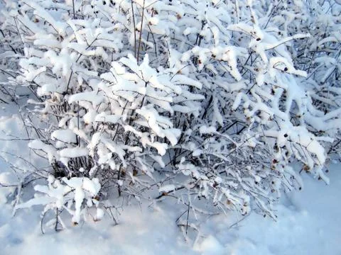 Snow cover Stock-Fotos