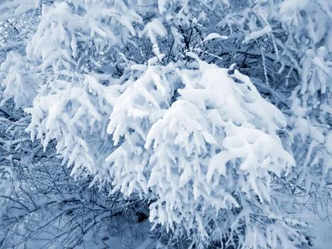 Snow cover Stock-Fotos