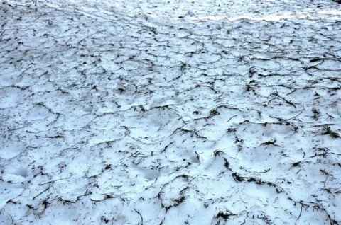 Snow cover Stock Photos